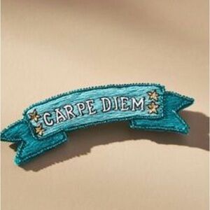 Mignonne Gavigan Teal 'Carpe Diem' Ribbon Brooch